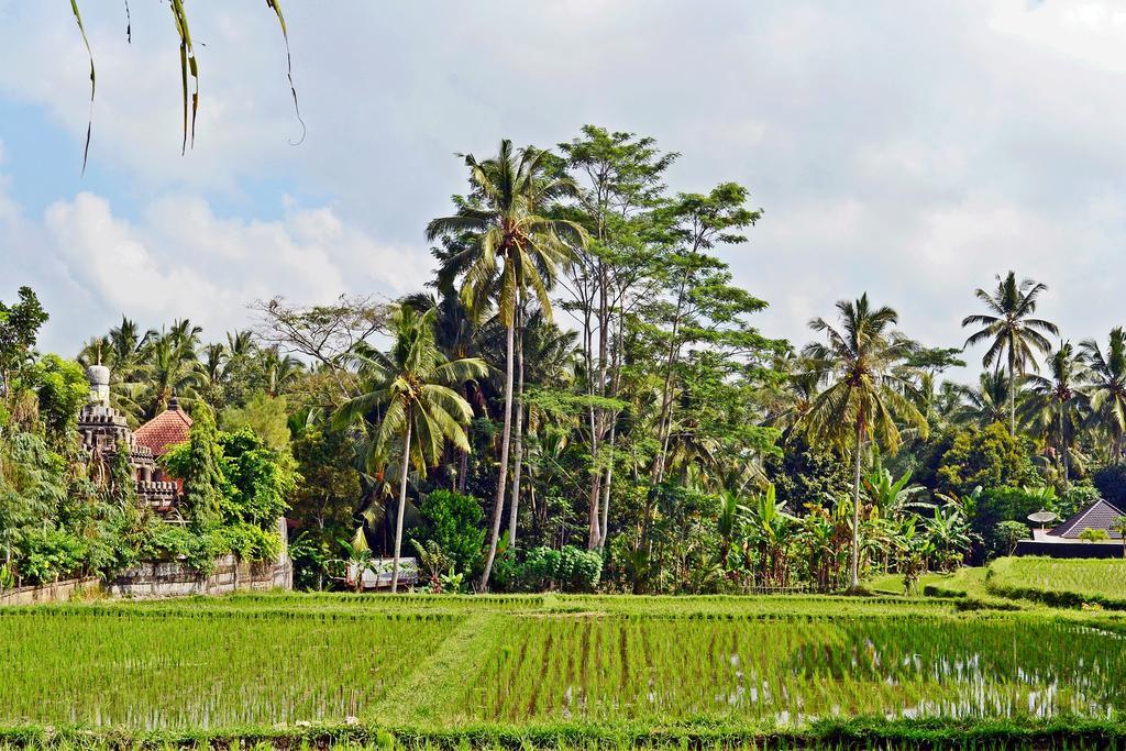 Ubud Kartini Hostel ภายนอก รูปภาพ
