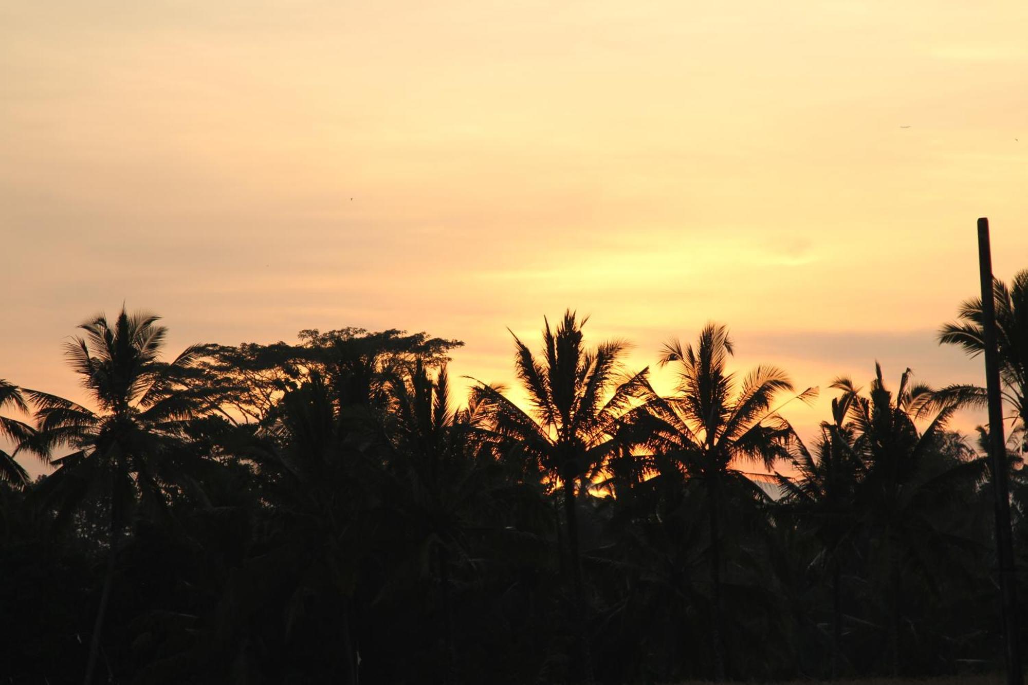 Ubud Kartini Hostel ภายนอก รูปภาพ