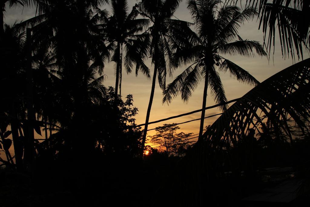 Ubud Kartini Hostel ภายนอก รูปภาพ