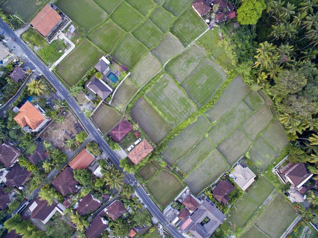 Ubud Kartini Hostel ภายนอก รูปภาพ